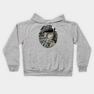 Rock formation that resembles a Mayan face with hat! Kids Hoodie